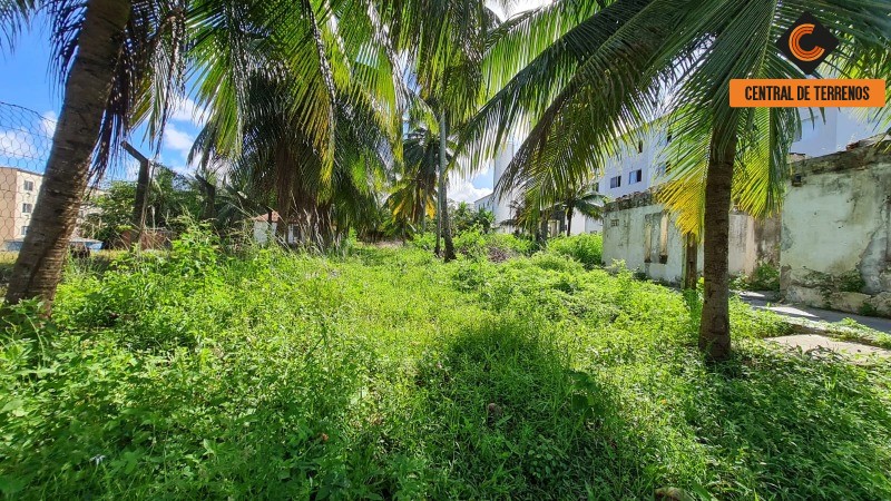 Terreno à venda, 4300m² - Foto 6