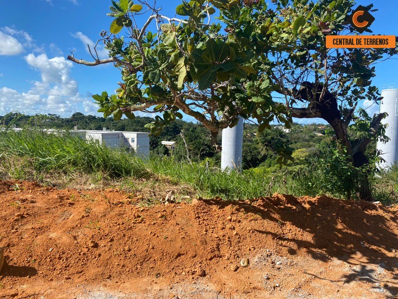 Terreno à venda, 300m² - Foto 7