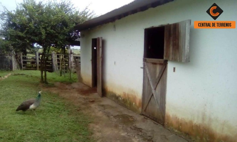 Fazenda à venda com 3 quartos, 784080m² - Foto 8