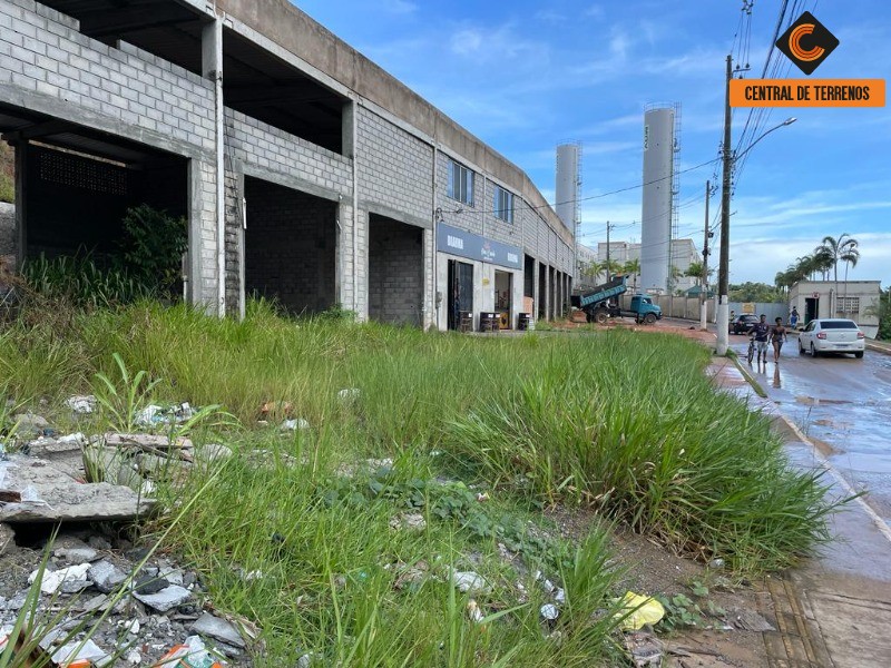 Depósito-Galpão-Armazém à venda - Foto 4