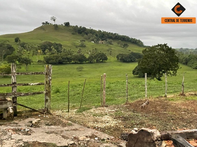 Fazenda à venda com 3 quartos, 784080m² - Foto 5