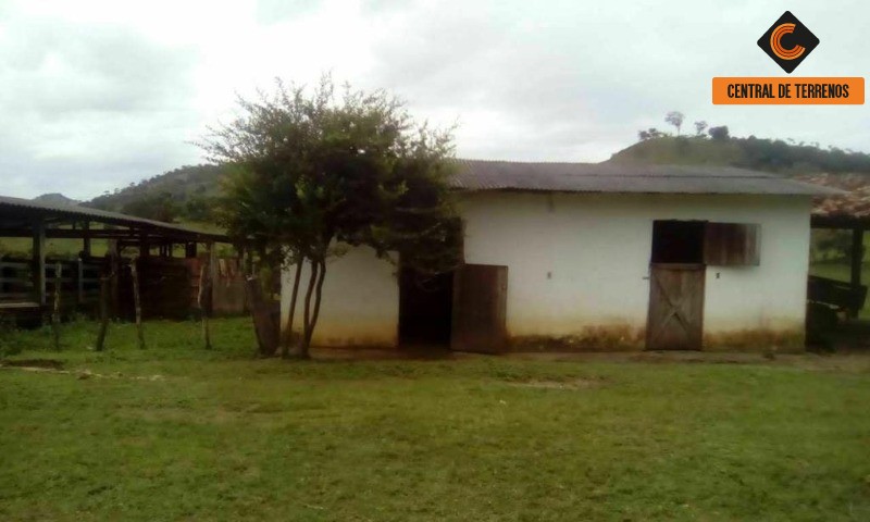 Fazenda à venda com 3 quartos, 784080m² - Foto 6