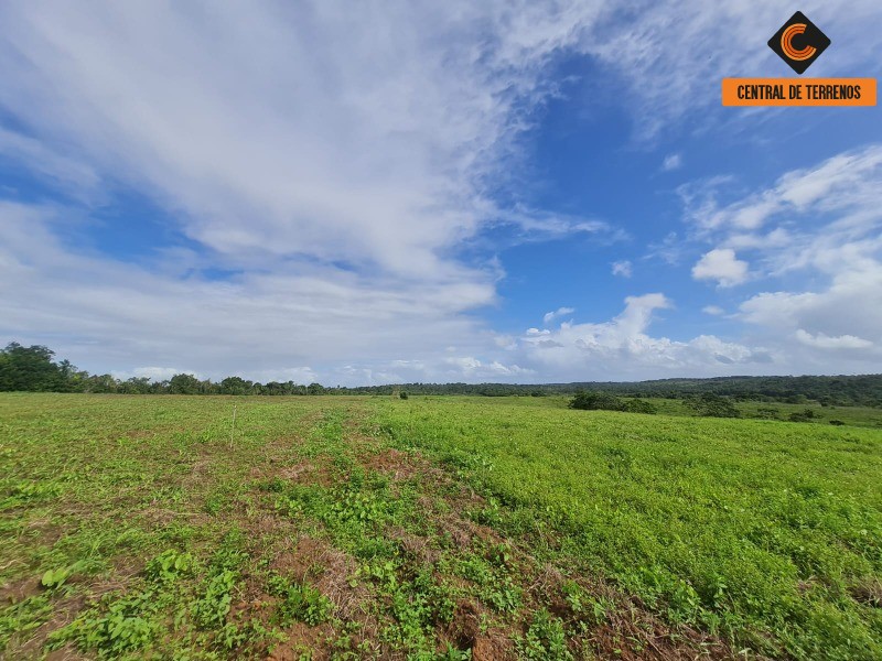 Fazenda à venda com 2 quartos, 975787m² - Foto 11