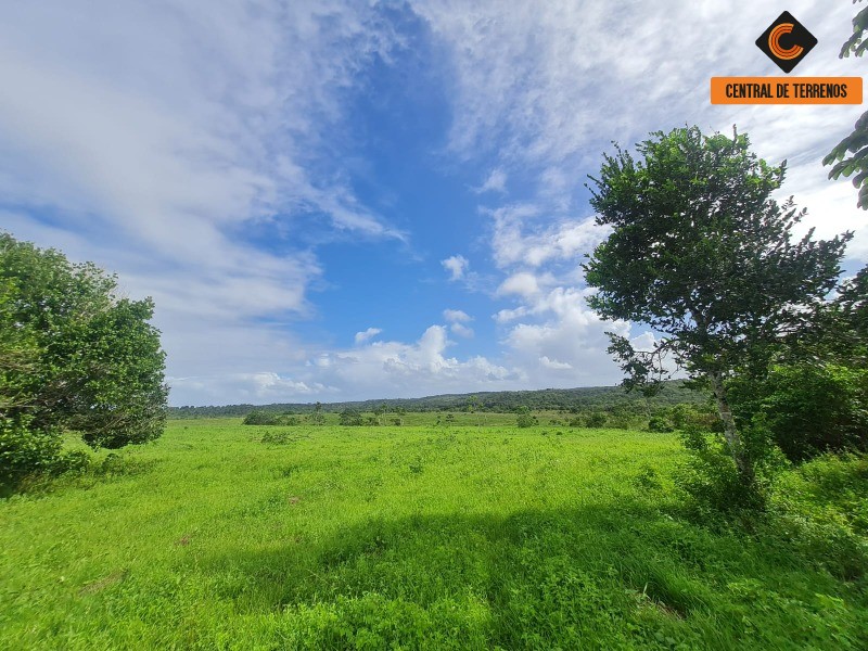 Fazenda à venda com 2 quartos, 975787m² - Foto 1