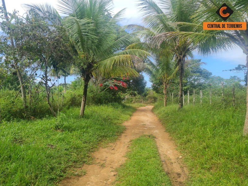 Fazenda à venda com 2 quartos, 975787m² - Foto 2