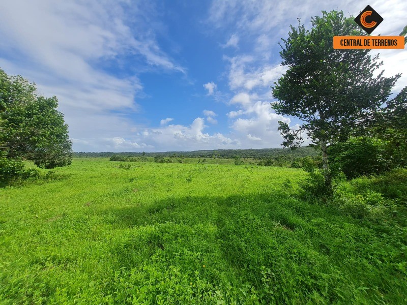 Fazenda à venda com 2 quartos, 975787m² - Foto 13