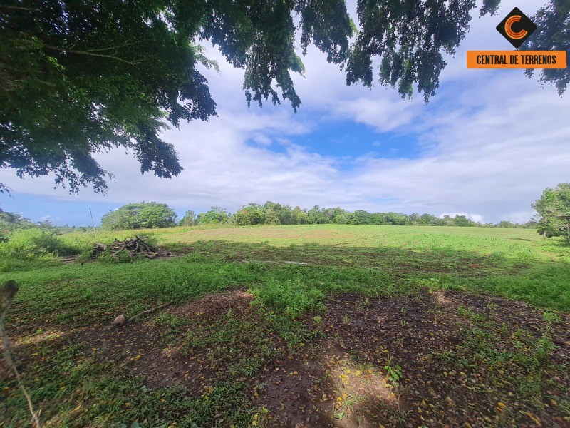 Fazenda à venda com 2 quartos, 975787m² - Foto 12