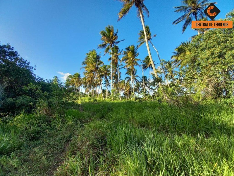 Terreno à venda, 911000m² - Foto 19