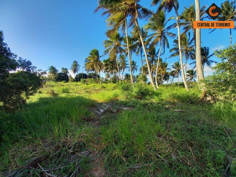 Terreno à venda, 911000m² - Foto 23