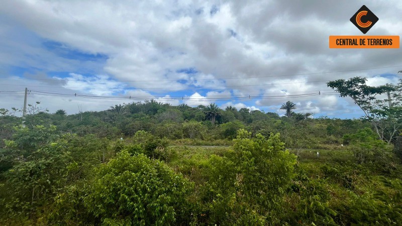 Loteamento e Condomínio à venda, 10000m² - Foto 2