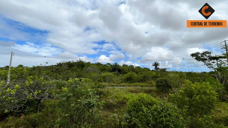 Loteamento e Condomínio à venda, 10000m² - Foto 5