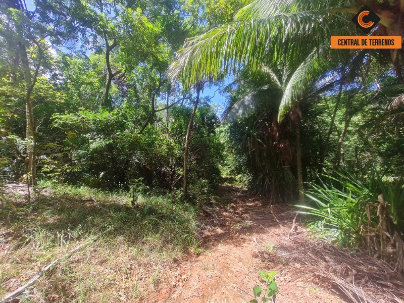 Loteamento e Condomínio, 5 hectares - Foto 4