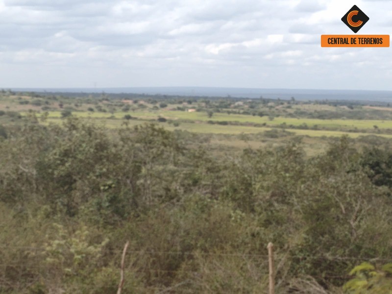 Fazenda - Foto 8