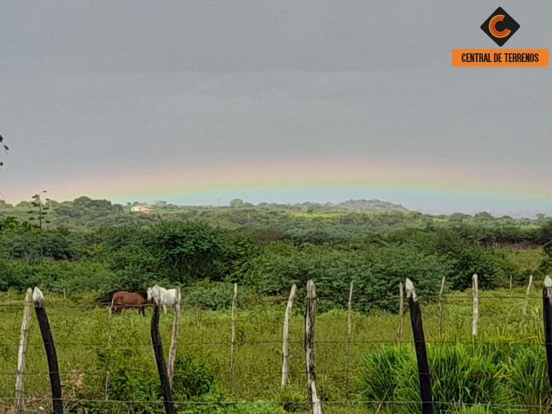 Fazenda - Foto 9