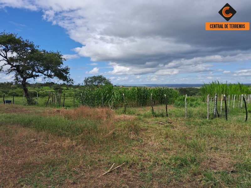 Fazenda - Foto 11