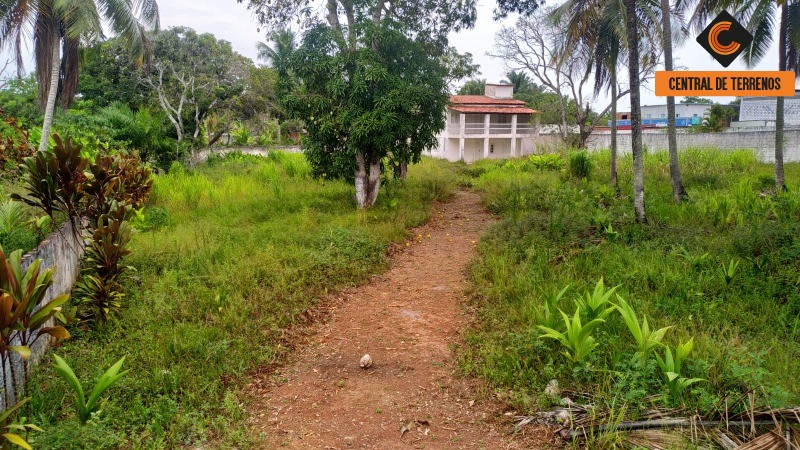 Loteamento e Condomínio, 2500 m² - Foto 4
