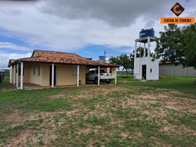 Fazenda - Foto 6
