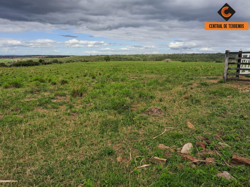 Fazenda - Foto 12