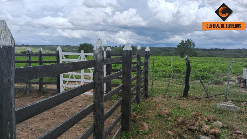 Fazenda - Foto 7