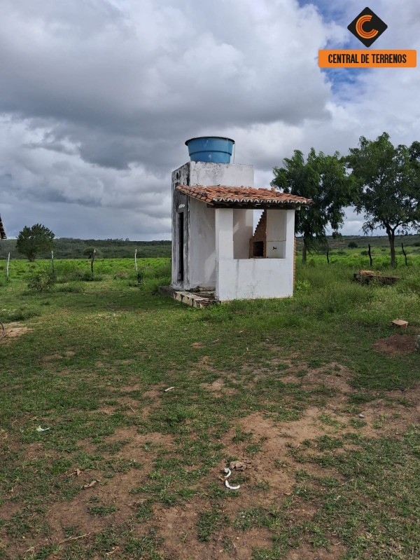 Fazenda - Foto 13