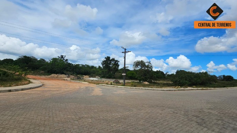 Loteamento e Condomínio, 53 hectares - Foto 3