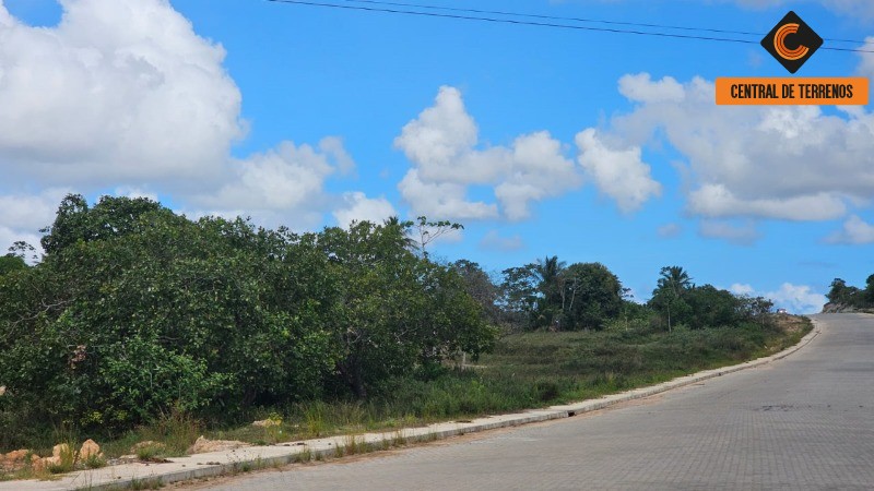 Loteamento e Condomínio, 53 hectares - Foto 9