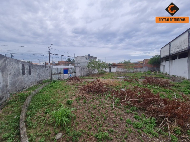 Depósito-Galpão - Foto 8