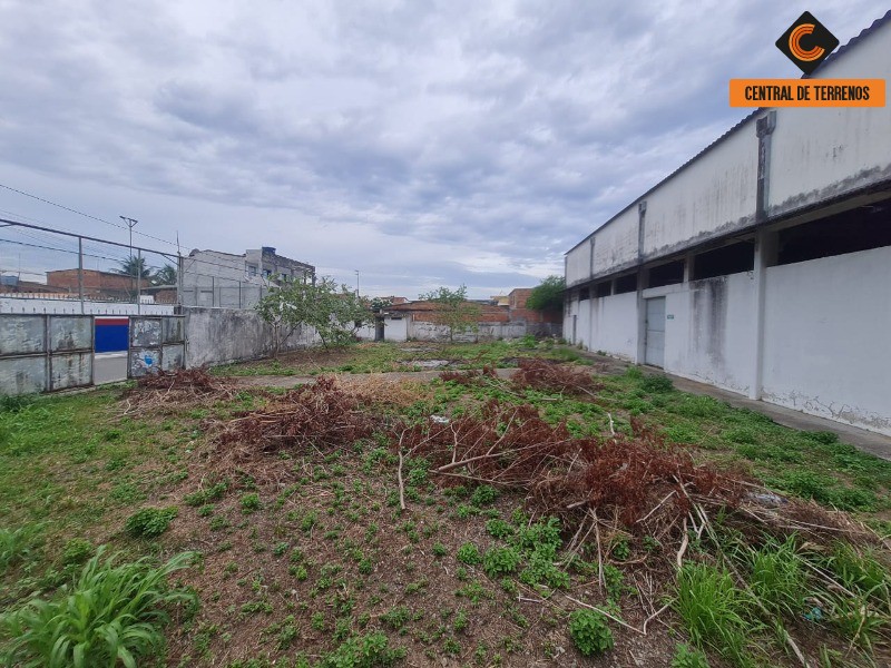 Depósito-Galpão - Foto 7