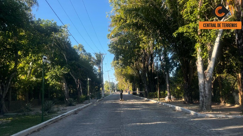 Terreno, 1000 m² - Foto 9