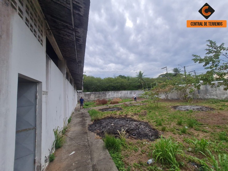 Depósito-Galpão - Foto 10