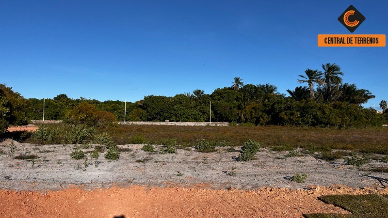 Terreno, 1000 m² - Foto 12