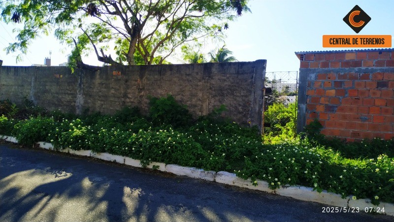 Terreno, 1490 m² - Foto 6
