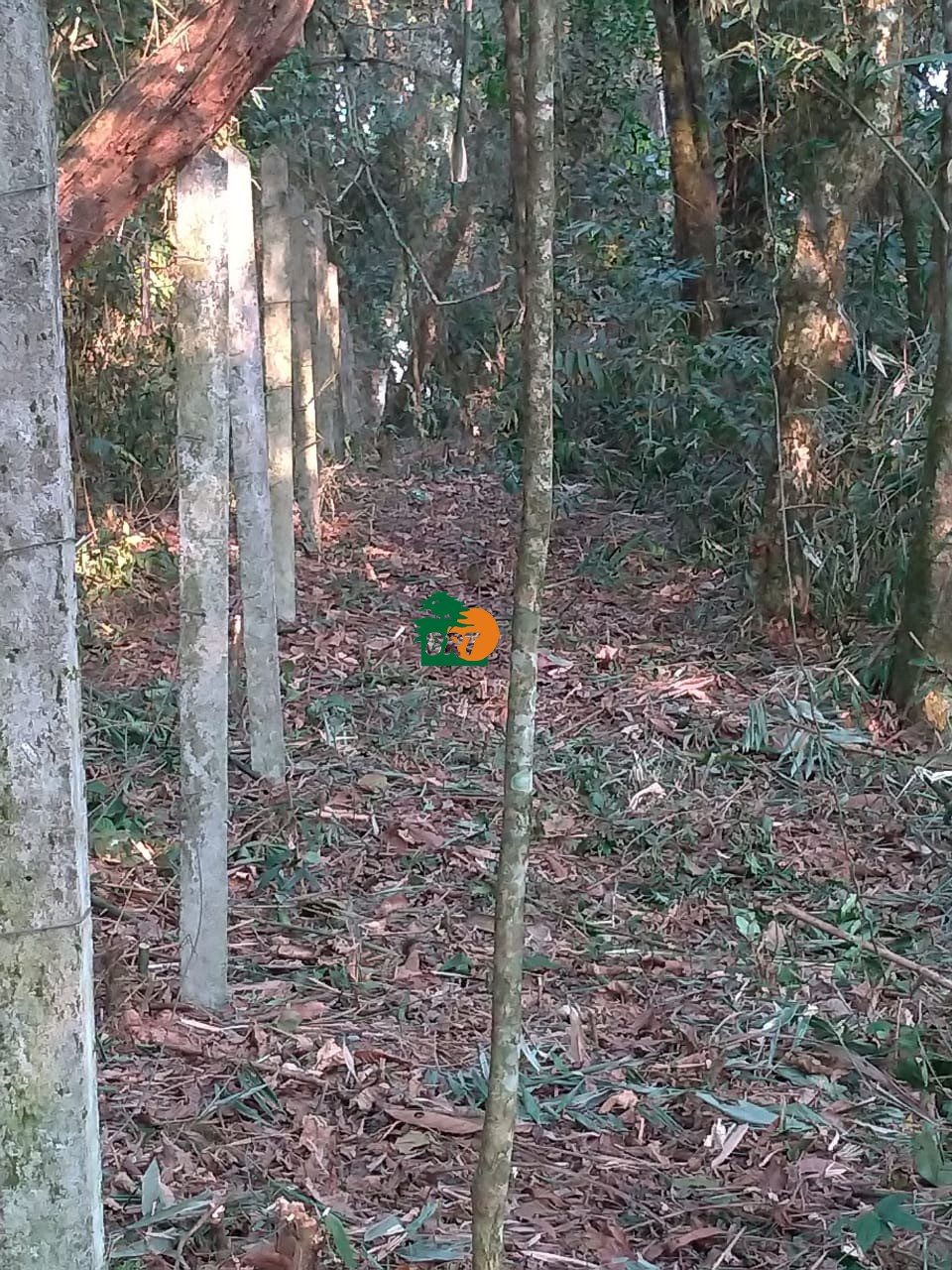 Foto do Imóvel 3