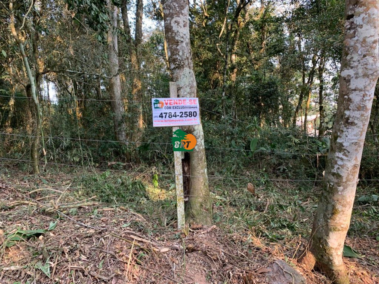 Foto do Imóvel 4