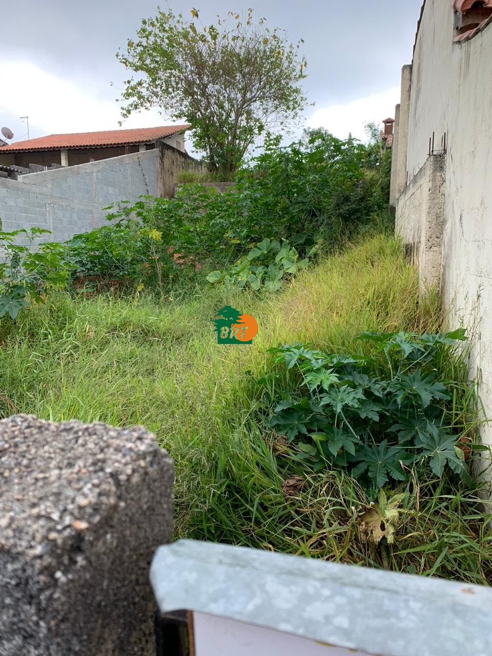Foto do Imóvel 6