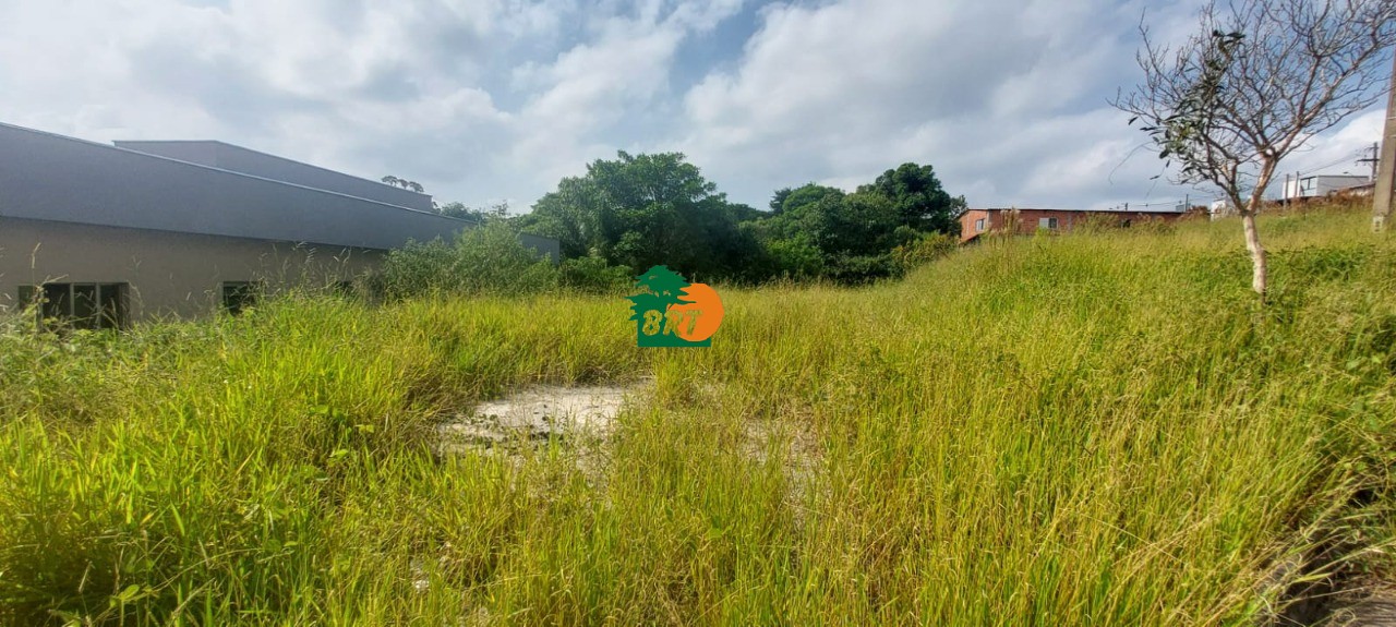 Foto Destaque