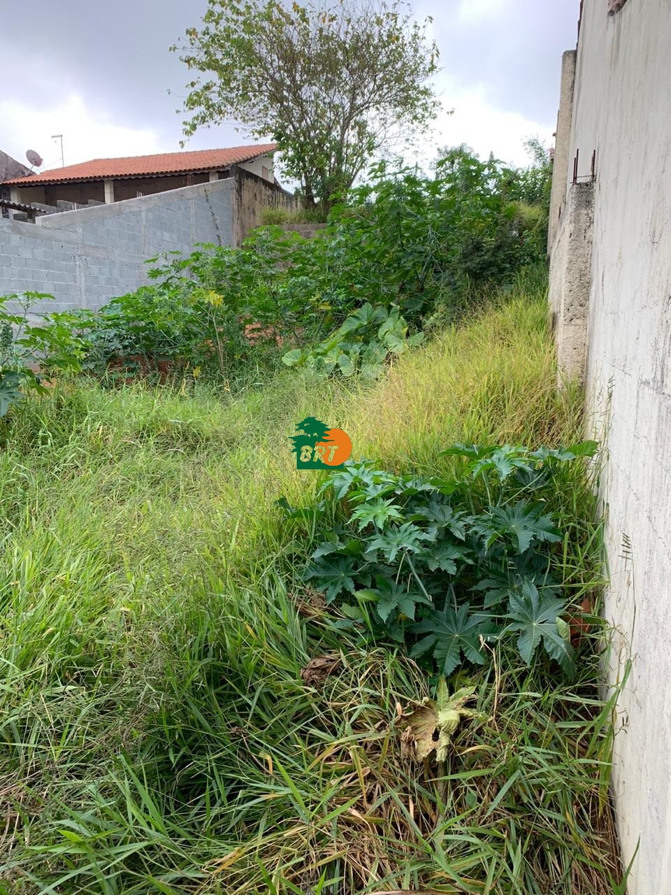 Foto do Imóvel 7