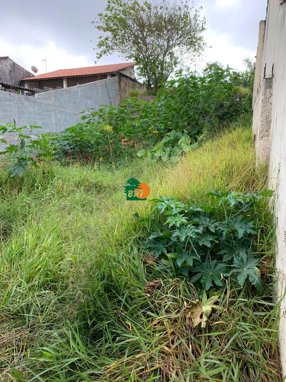 Foto do Imóvel 3