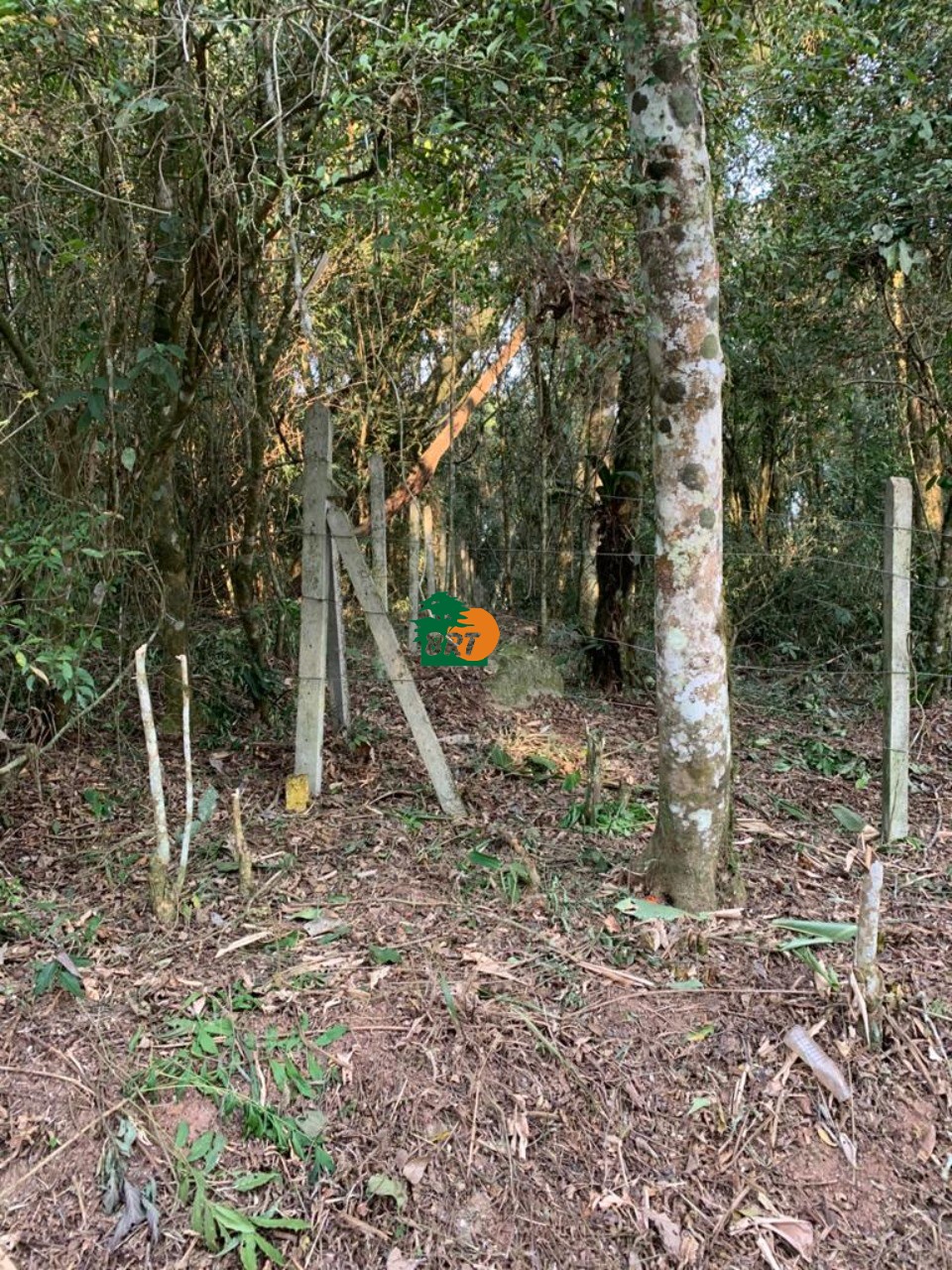 Foto do Imóvel 5