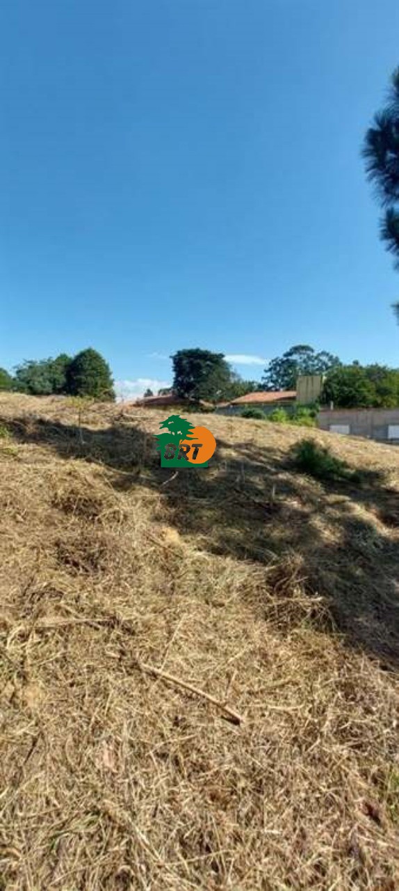 Foto do Imóvel 5
