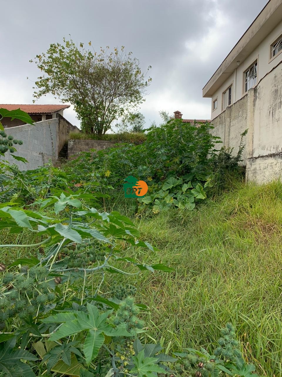 Foto Destaque