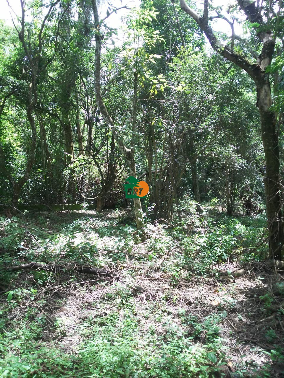 Foto do Imóvel 5