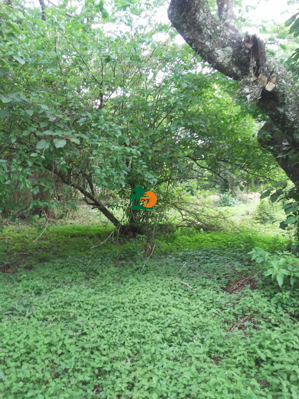 Foto do Imóvel 9