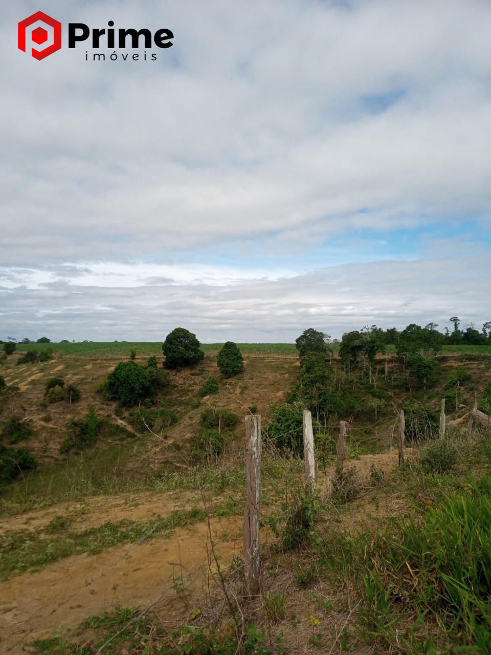 Fazenda à venda com 4 quartos - Foto 3