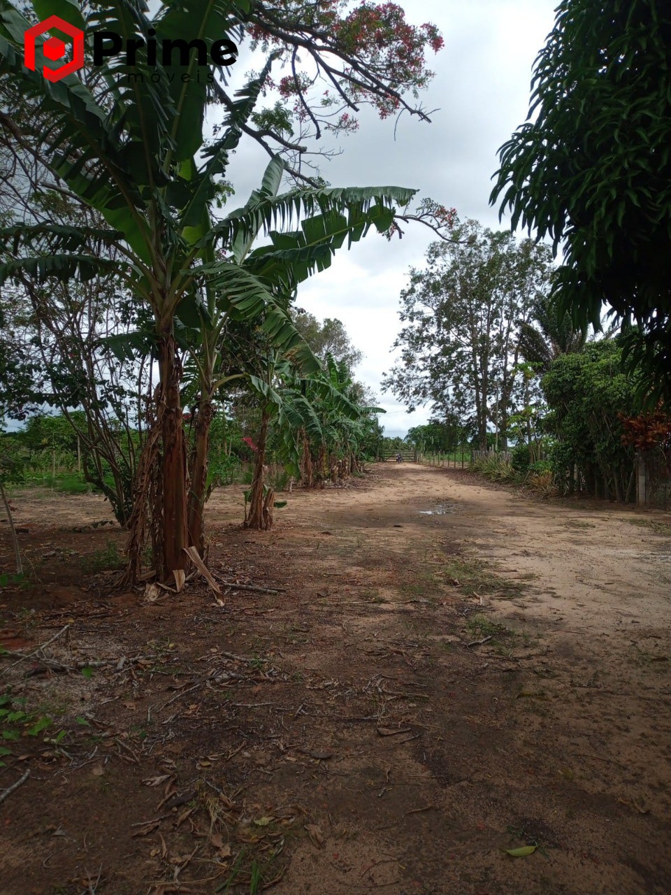 Fazenda à venda com 4 quartos - Foto 10