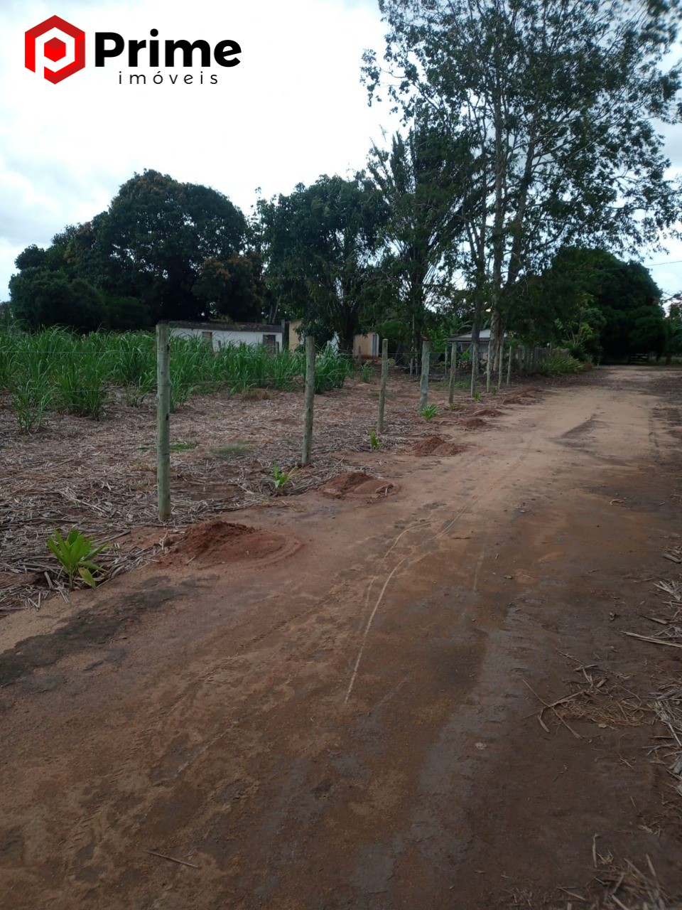 Fazenda à venda com 4 quartos - Foto 15