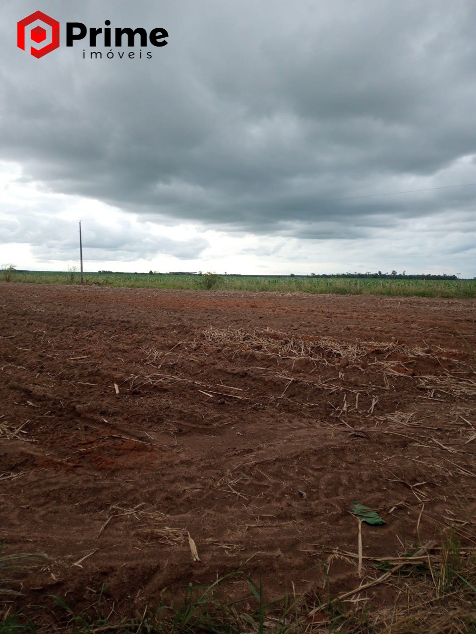 Fazenda à venda com 4 quartos - Foto 12