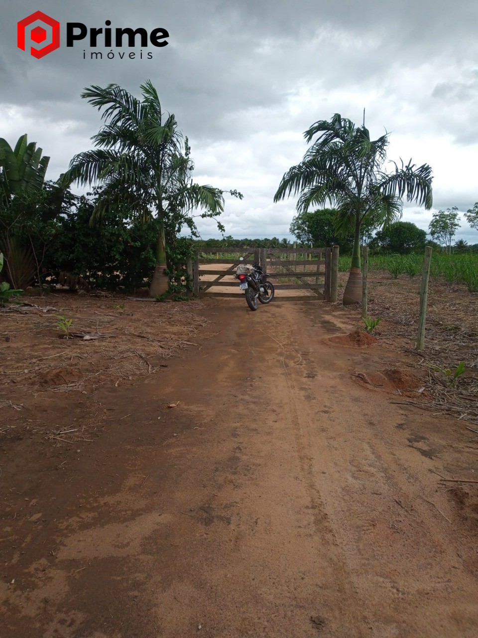 Fazenda à venda com 4 quartos - Foto 13