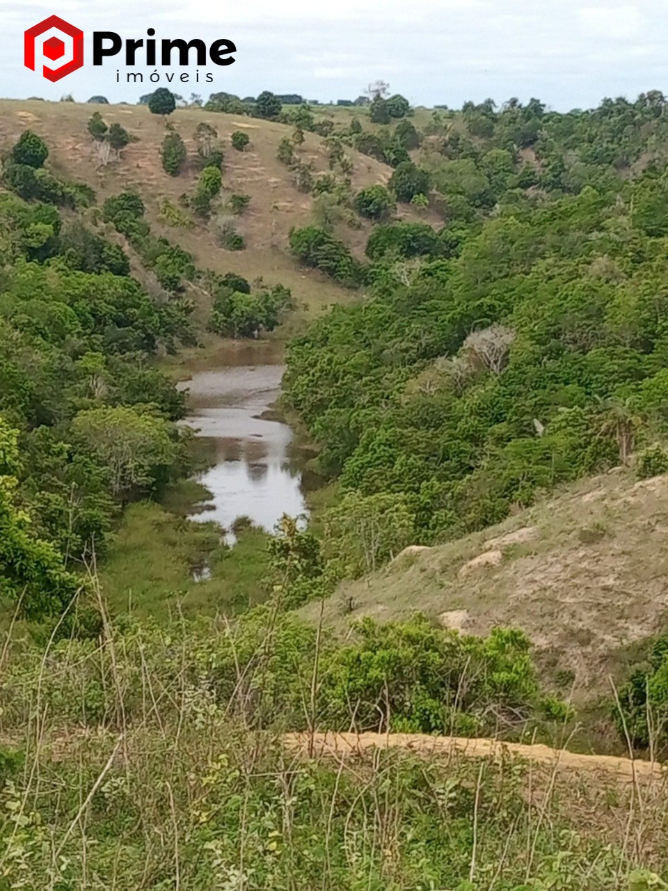 Fazenda à venda com 4 quartos - Foto 4