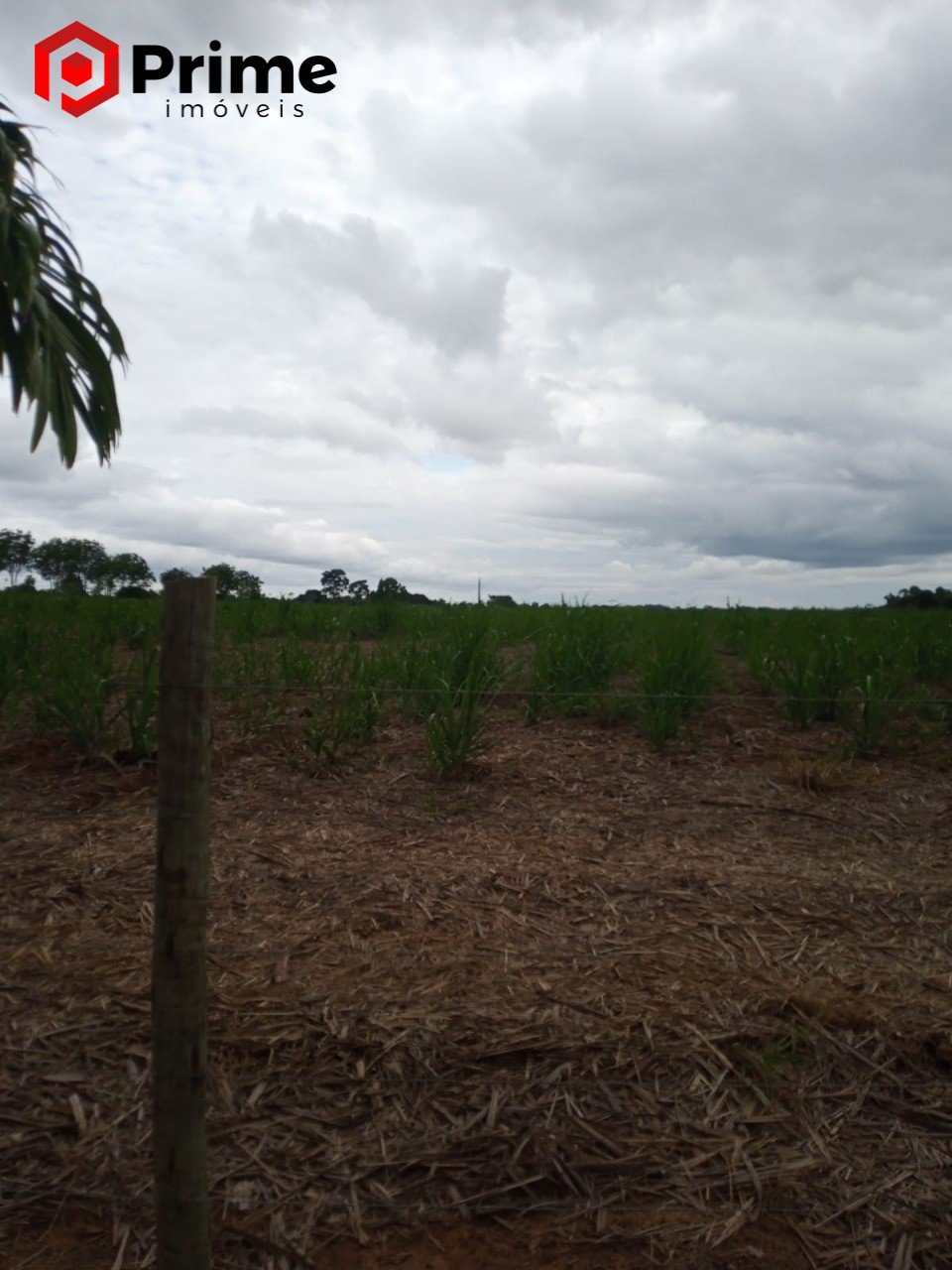 Fazenda à venda com 4 quartos - Foto 16